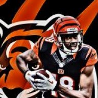 WHO-DEY-BENGALS_18