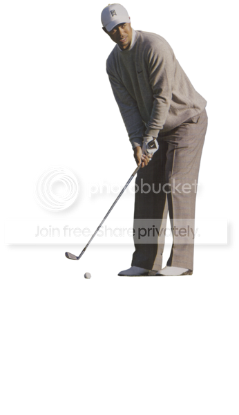 tigerwoodspsdem7.png