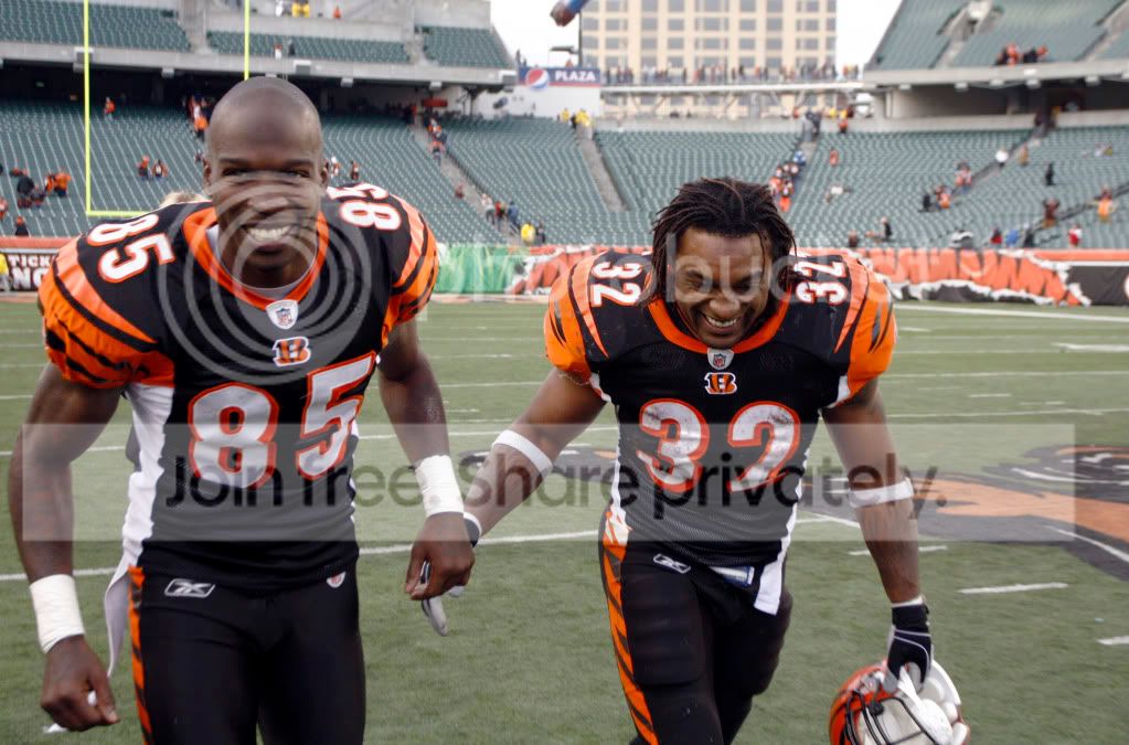 LionsBengalsFootbal_Merr-1.jpg