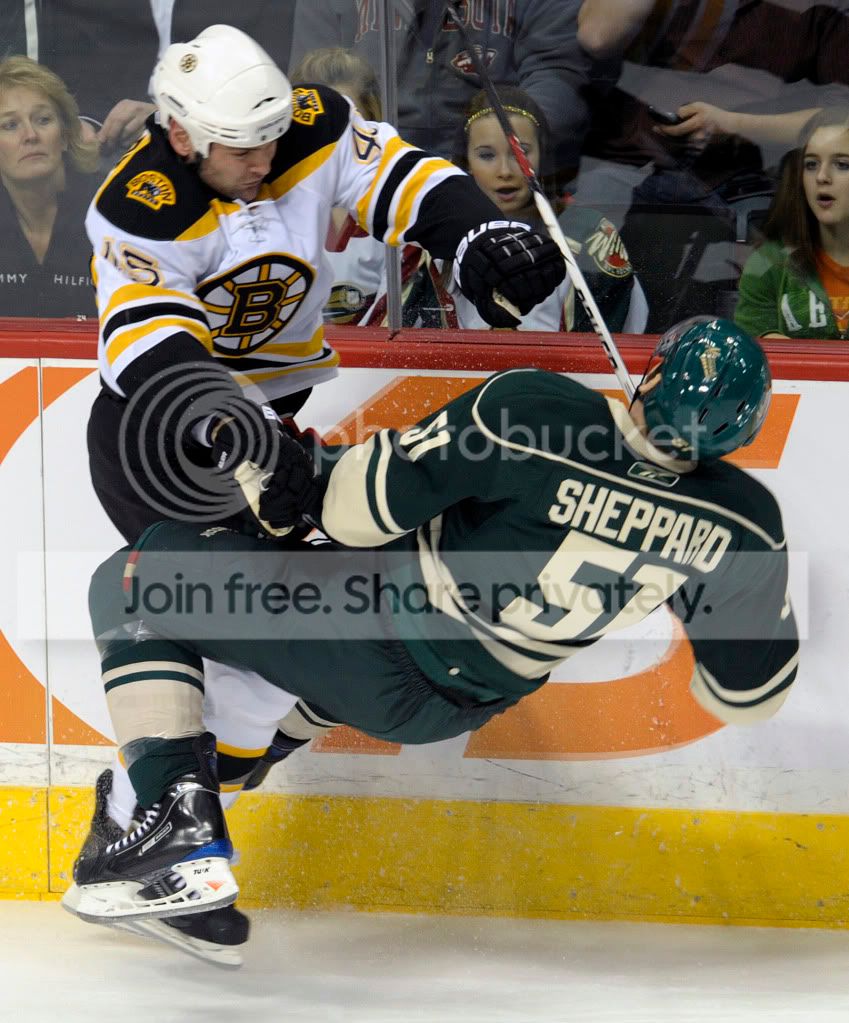 BruinsWildHockey_Merr4.jpg