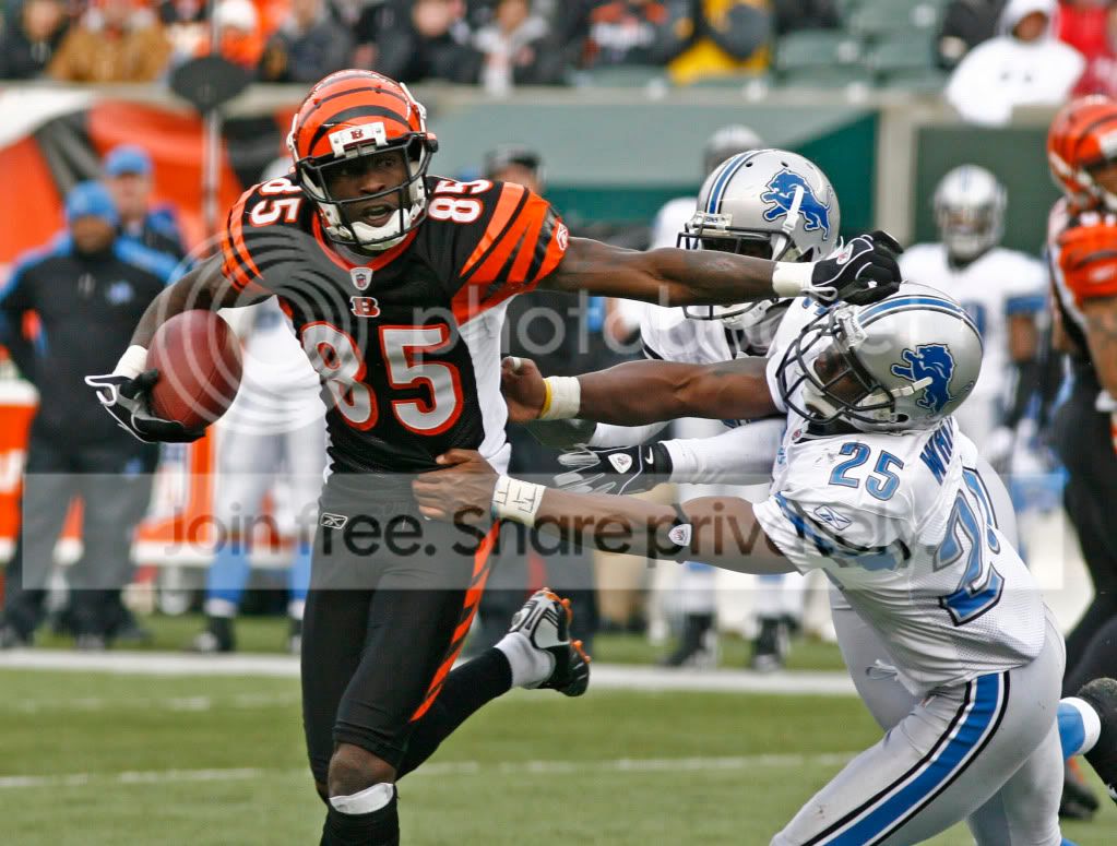 LionsBengalsFootbal_Merr2.jpg