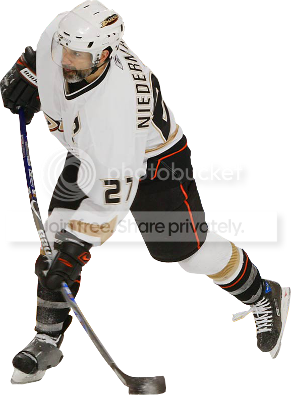 Niedermayercut.png