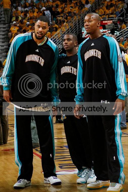 hornets.jpg