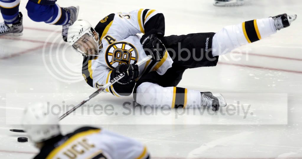 BruinsBluesHockey_Merr.jpg