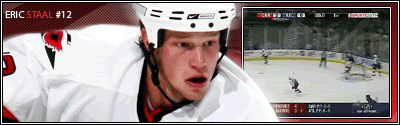 StaalSig.gif