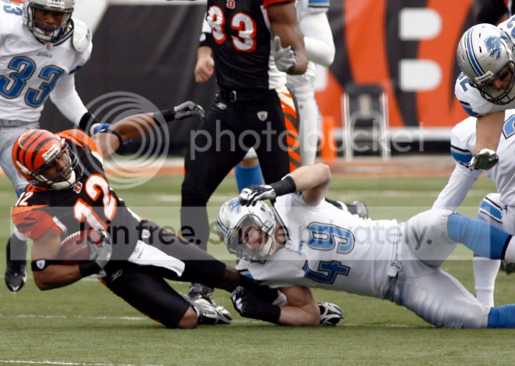 LionsBengalsFootbal_Merr11.jpg