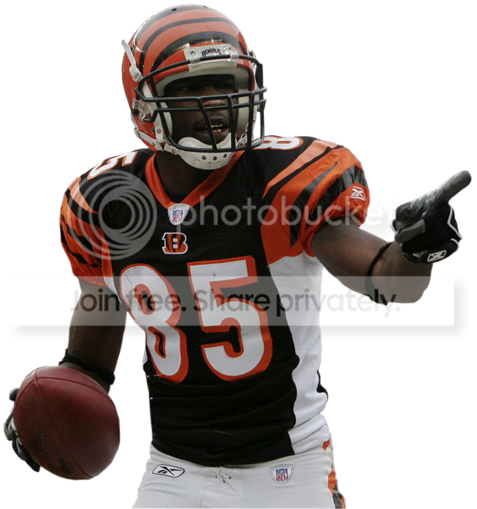 cjcutae1.png